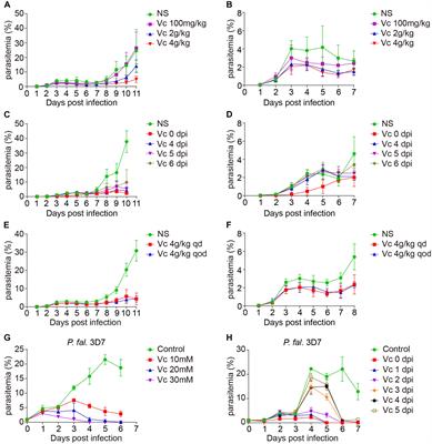 Vitamin C Inhibits Blood-Stage Plasmodium Parasites via Oxidative Stress